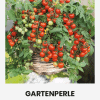 Fröpåse Gartenperle